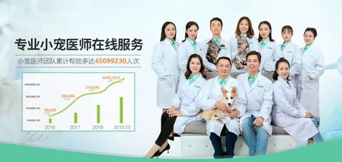 疫情期間寵物嘔吐、拉稀、血便怎么辦？4大科學(xué)防護指南助力在家養(yǎng)寵