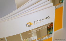 創(chuàng)意賦能品牌價(jià)值 廣東產(chǎn)品包裝設(shè)計(jì)與畫冊(cè)設(shè)計(jì)的策劃服務(wù)解析